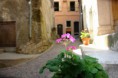 /album/vicoli/dsc02001-jpg/