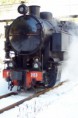 /album/ferrovie-treni-e-ferrovieri/a784281-jpg/